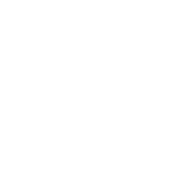 Picture icon