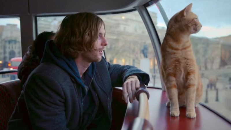 A Street Cat Named Bob